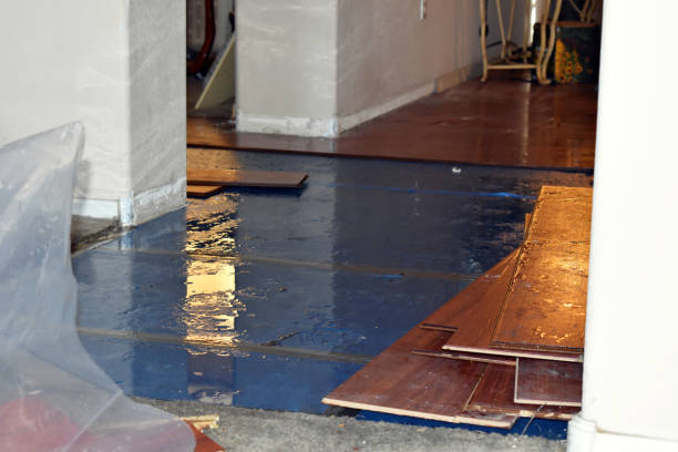 Professional Basement Flood Cleanup technician working in Harvest, AL